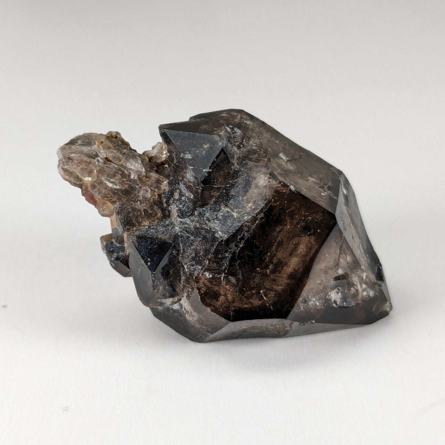 Sceptre Cristal de quartz fumé | 36mm 14gr | Mont Saint-Hilaire, Québec, Canada