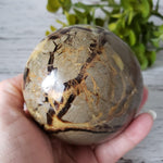Septarian Calcite Sphere | 92 mm, 3.6 in | 1.09 kg