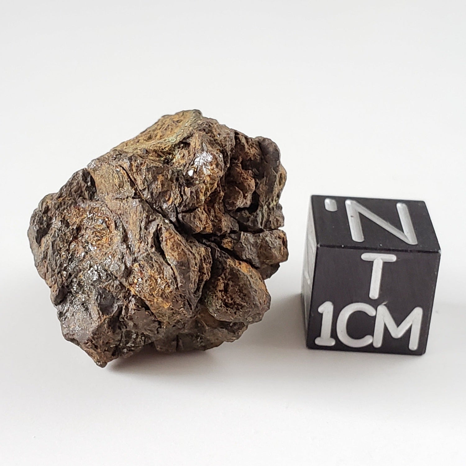 Sericho Meteorite | 10.45 Grams | As found Individual | MG Pallasite | Kenya Africa