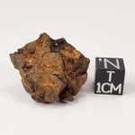  Sericho Meteorite 16.2 Grams As found MG Pallasite from Kenya Africa 