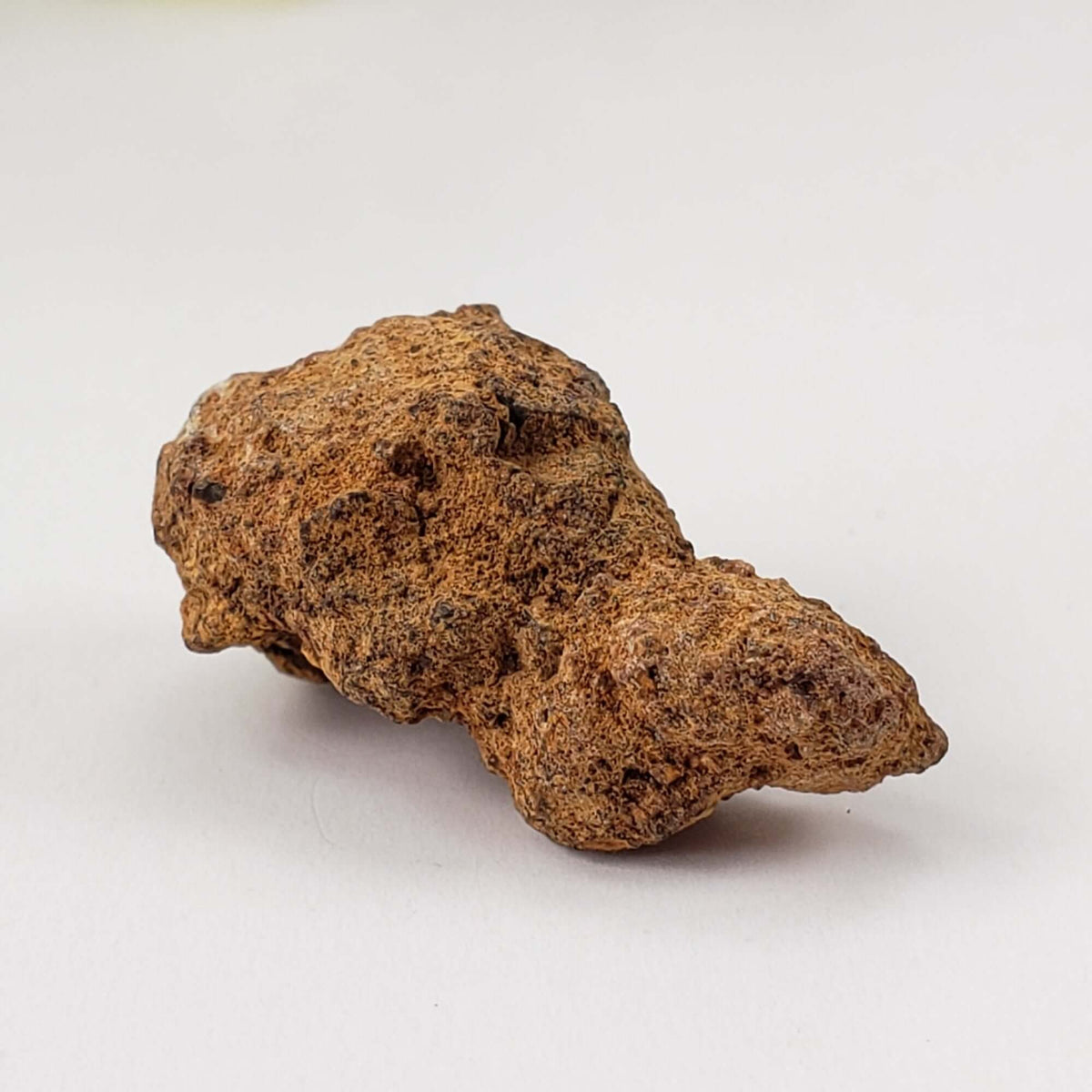  Sericho Meteorite | 6.6 Grams | As found Individual | MG Pallasite | Kenya Africa 