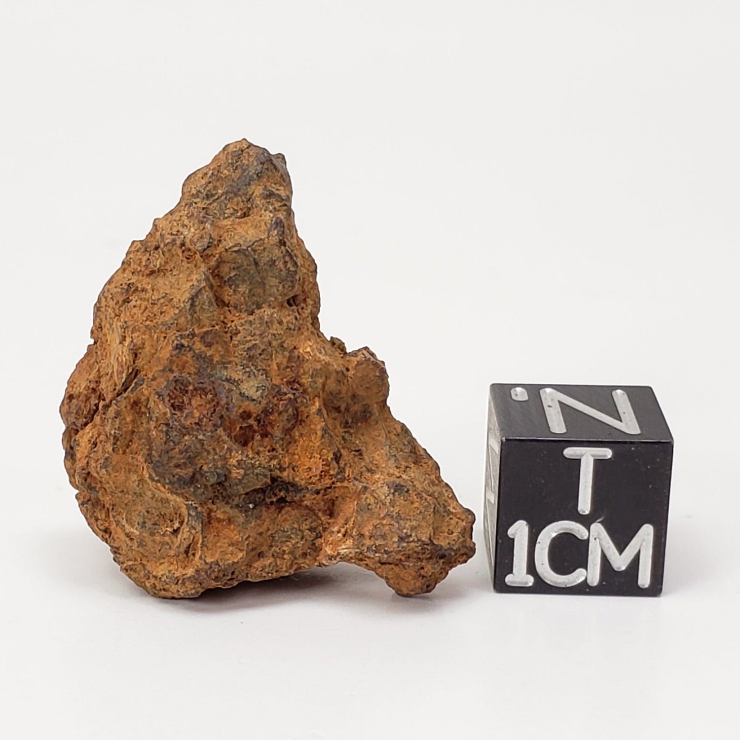 Sericho Meteorite | 9.87 Grams | As found Individual | MG Pallasite | Kenya Africa