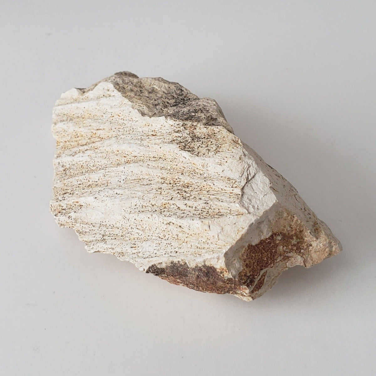  Shatter Cone Impactite | 70.6 grams | Steinheim Basin Impact Structure | Ries crater, Germany 