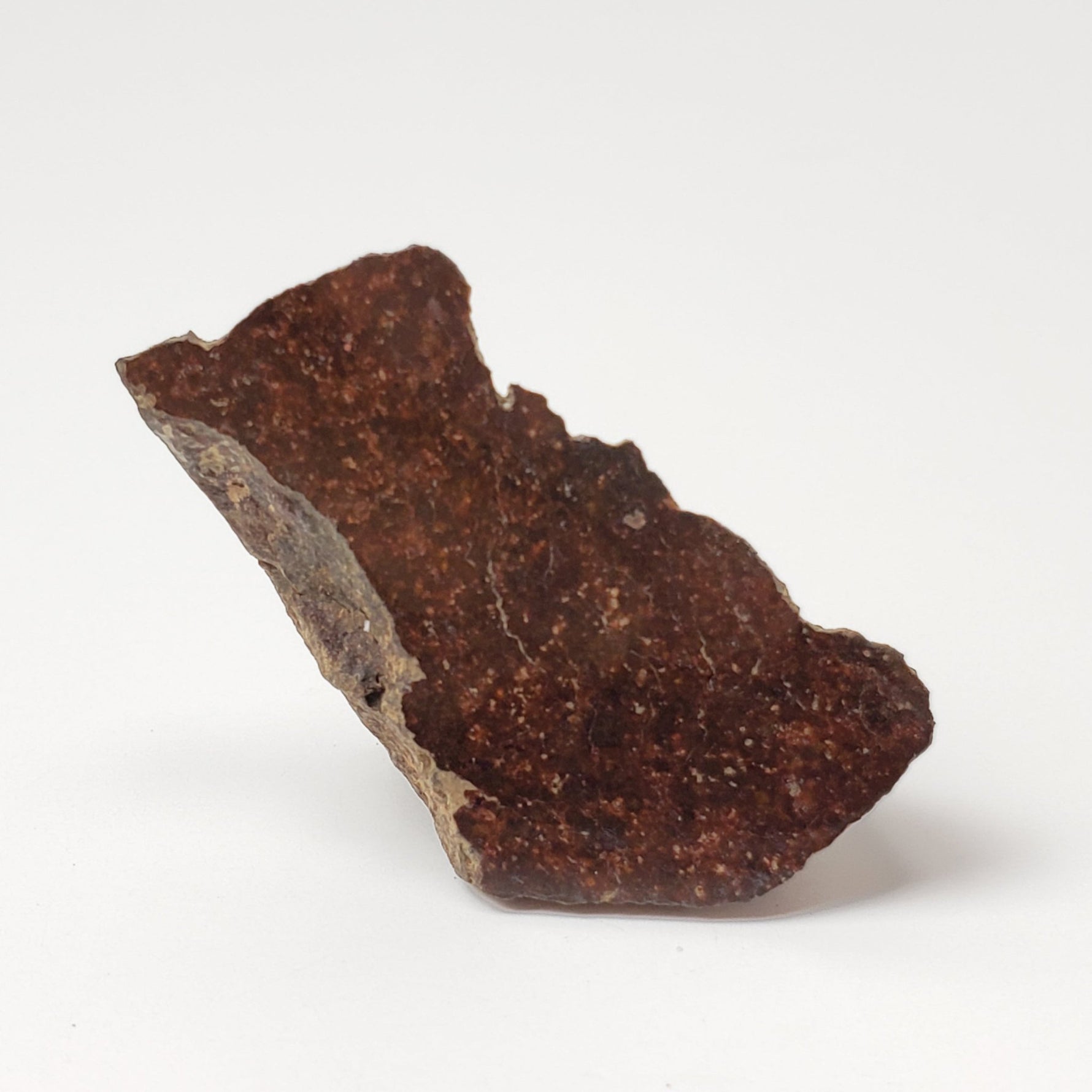  Rare Shişr Shi 010 Meteorite 11.49 Grams L5 Chondrite 