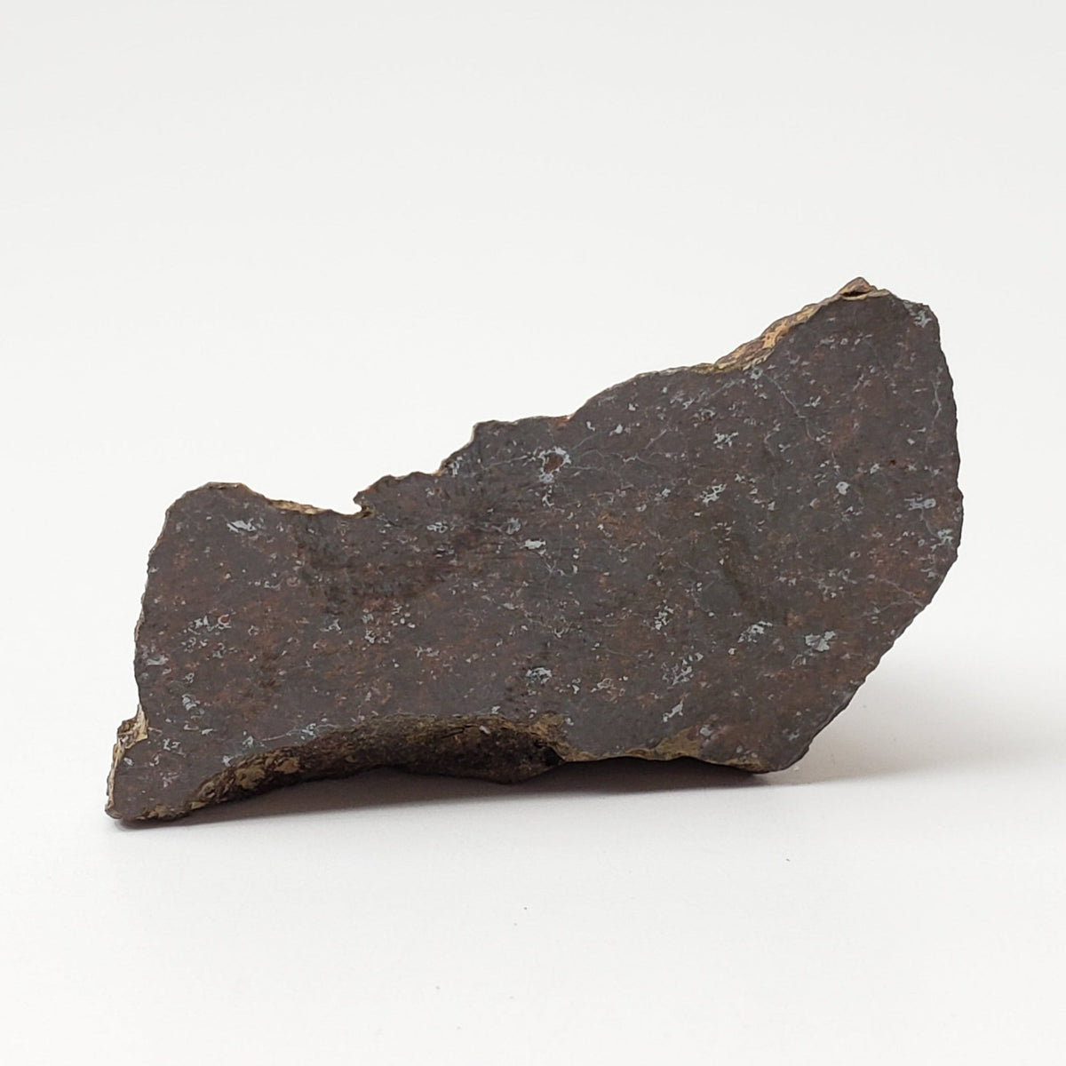 SpaceMeteoritesCanagem.com