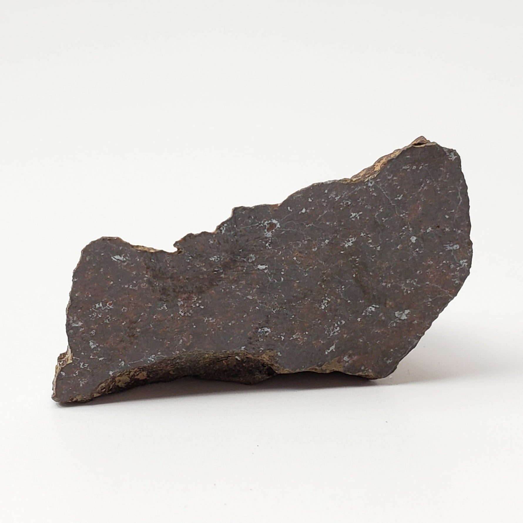  Rare Shişr Shi 010 Meteorite 11.49 Grams L5 Chondrite 