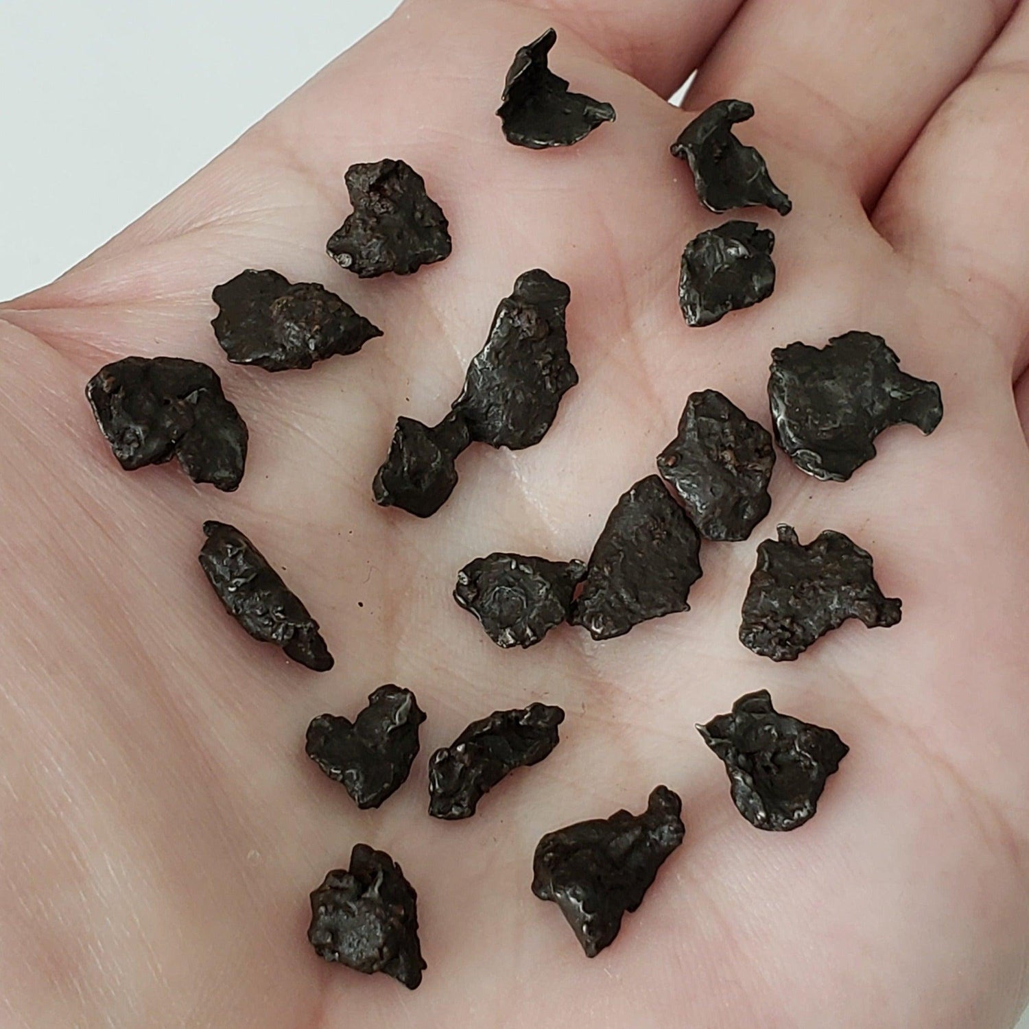  Sikhote-Alin Meteorite | 0.5-0.7 Grams | Individual | Iron IIAB | Shrapnel 