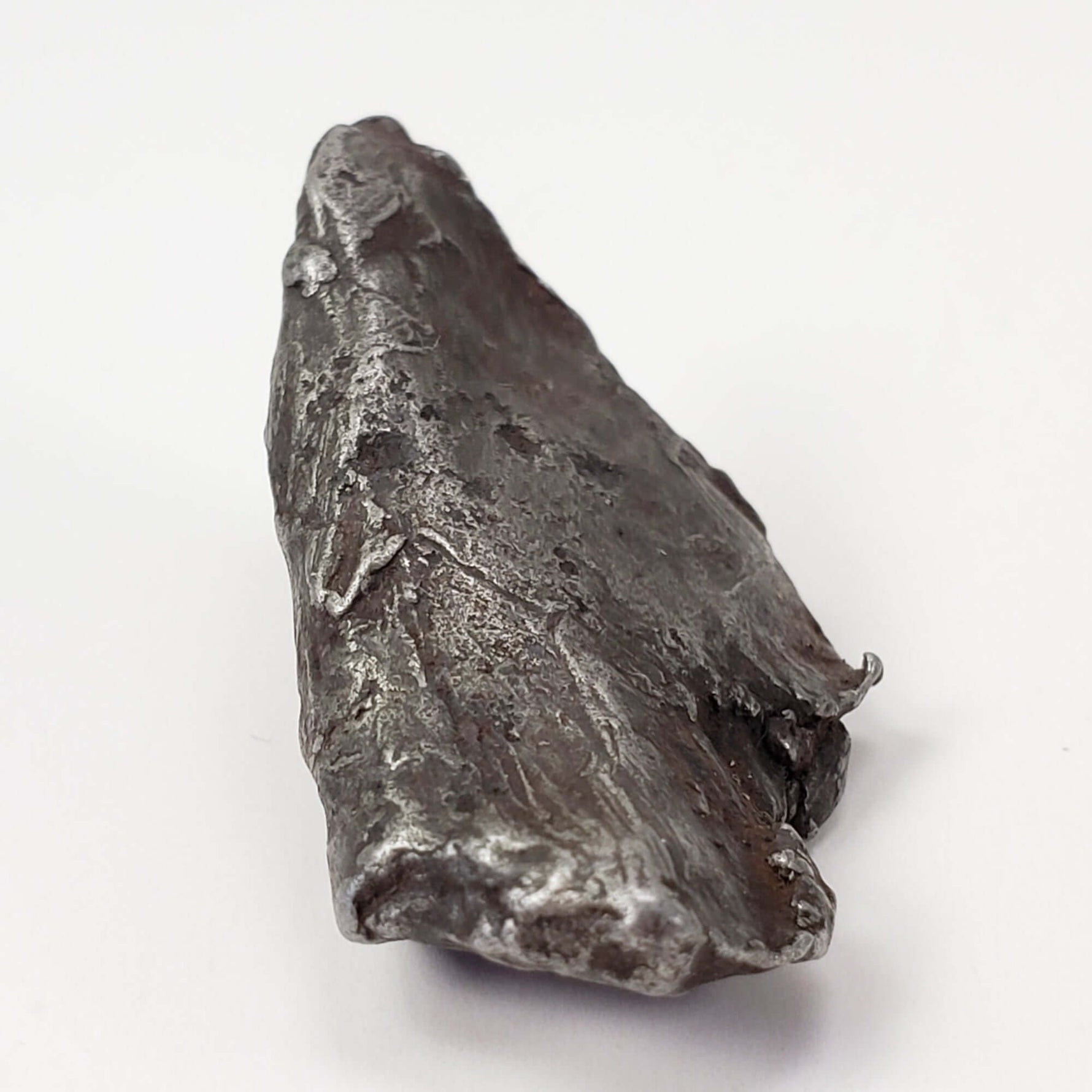  Sikhote-Alin Meteorite | 20.1 Grams | Individual | Iron IIAB | Shrapnel 