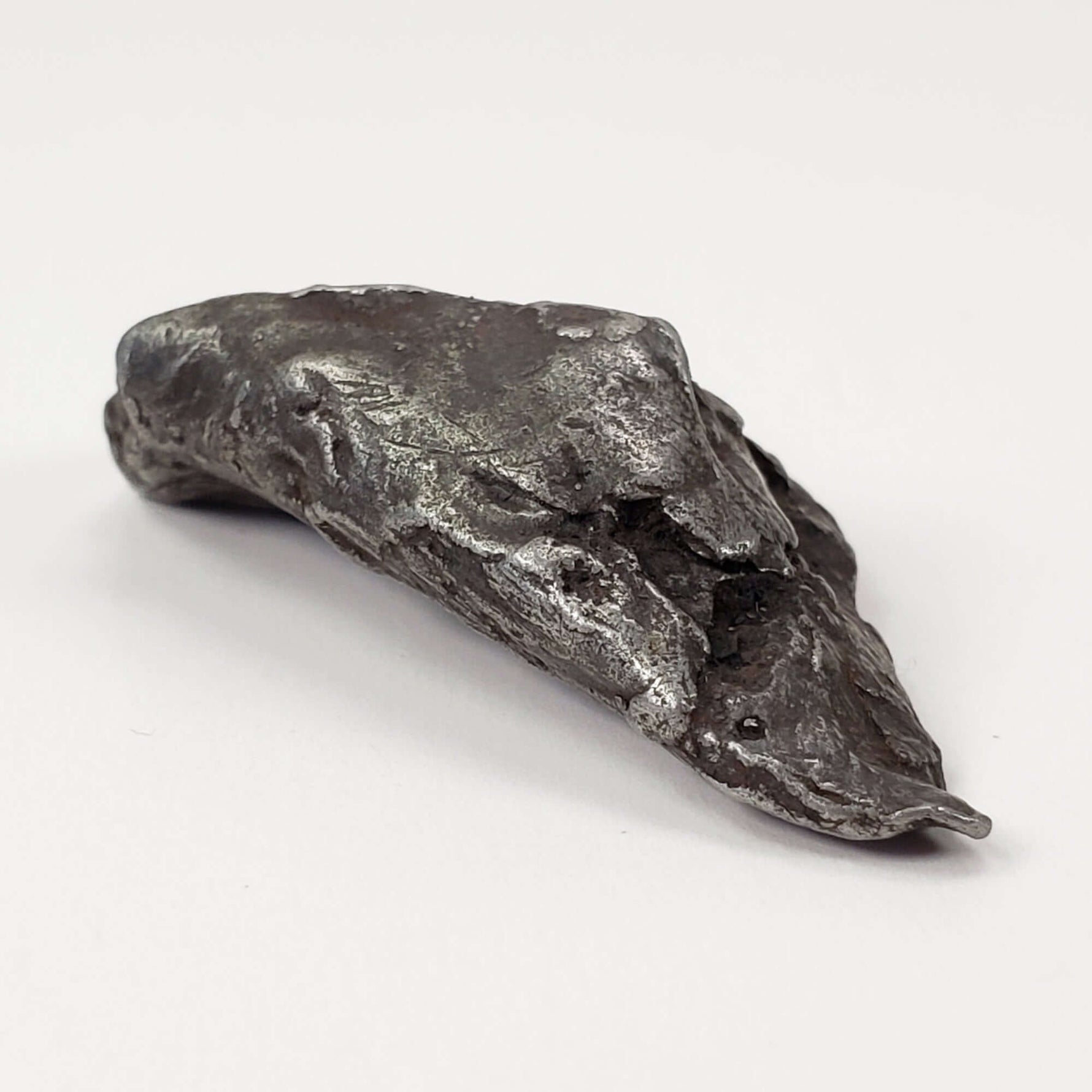  Sikhote-Alin Meteorite | 20.1 Grams | Individual | Iron IIAB | Shrapnel 