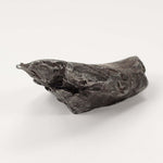  Sikhote-Alin Meteorite | 20.1 Grams | Individual | Iron IIAB | Shrapnel 