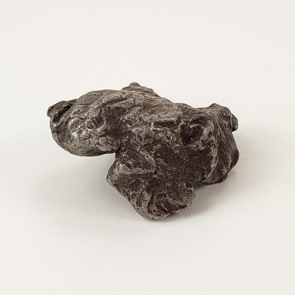  Sikhote-Alin Meteorite 20.2 Grams Iron (IIAB) Shrapnel 