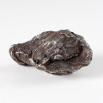  Sikhote-Alin Meteorite 21 Grams Iron (IIAB) Shrapnel 