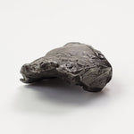  Sikhote-Alin Meteorite | 23.1 Grams | Individual | Iron IIAB | Shrapnel | SO24 