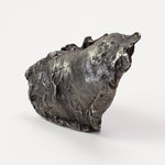 MeteoritesCanagem.com