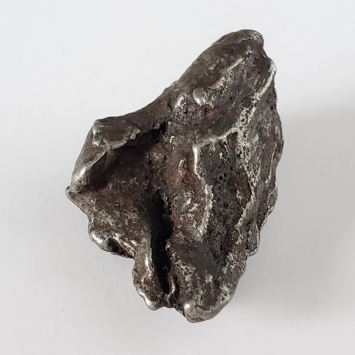  Sikhote-Alin Meteorite | 23.6 Grams | Individual | Iron IIAB | Shrapnel 