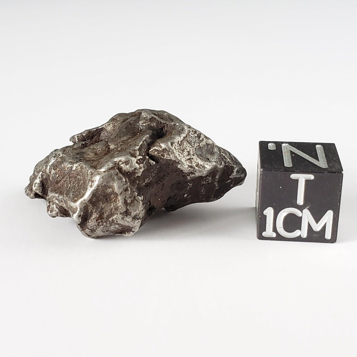  Sikhote-Alin Meteorite | 23.6 Grams | Individual | Iron IIAB | Shrapnel 