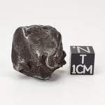  Sikhote-Alin Meteorite 25.8 Grams Iron (IIAB) Shrapnel 