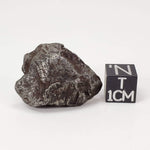  Sikhote-Alin Meteorite 26.8 Grams Iron (IIAB) Shrapnel 