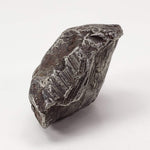  Sikhote-Alin Meteorite 26.8 Grams Iron (IIAB) Shrapnel 