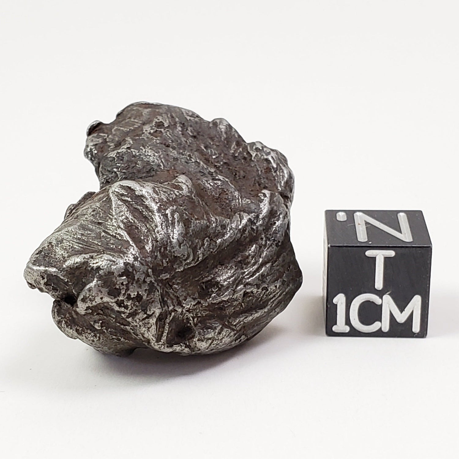  Sikhote-Alin Meteorite | 32.89 Grams | Individual | Iron IIAB | Shrapnel 