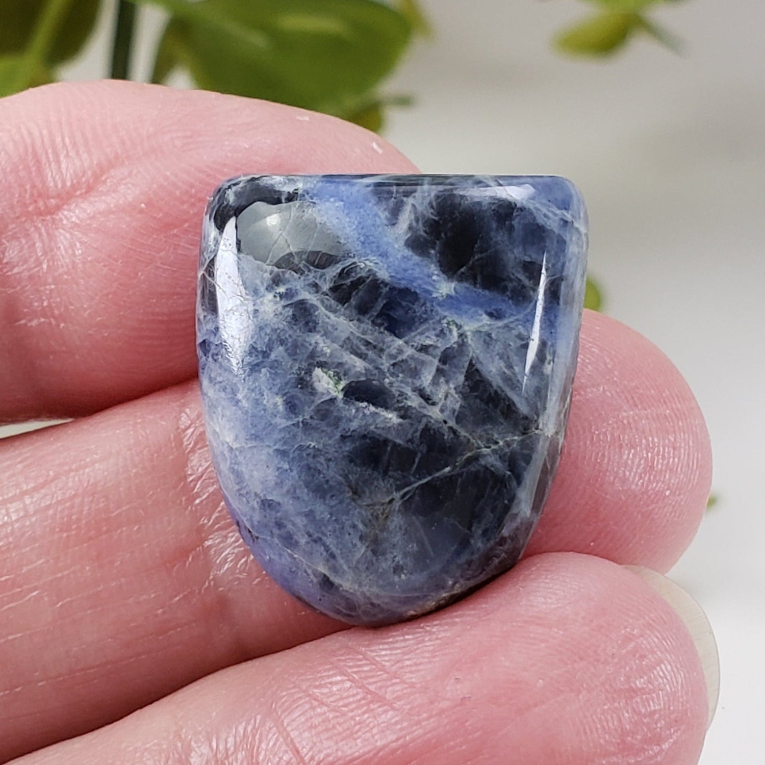 Sodalite | Half Oval Cabochon | Navy Blue | 22.8x19.3mm 27ct | Africa