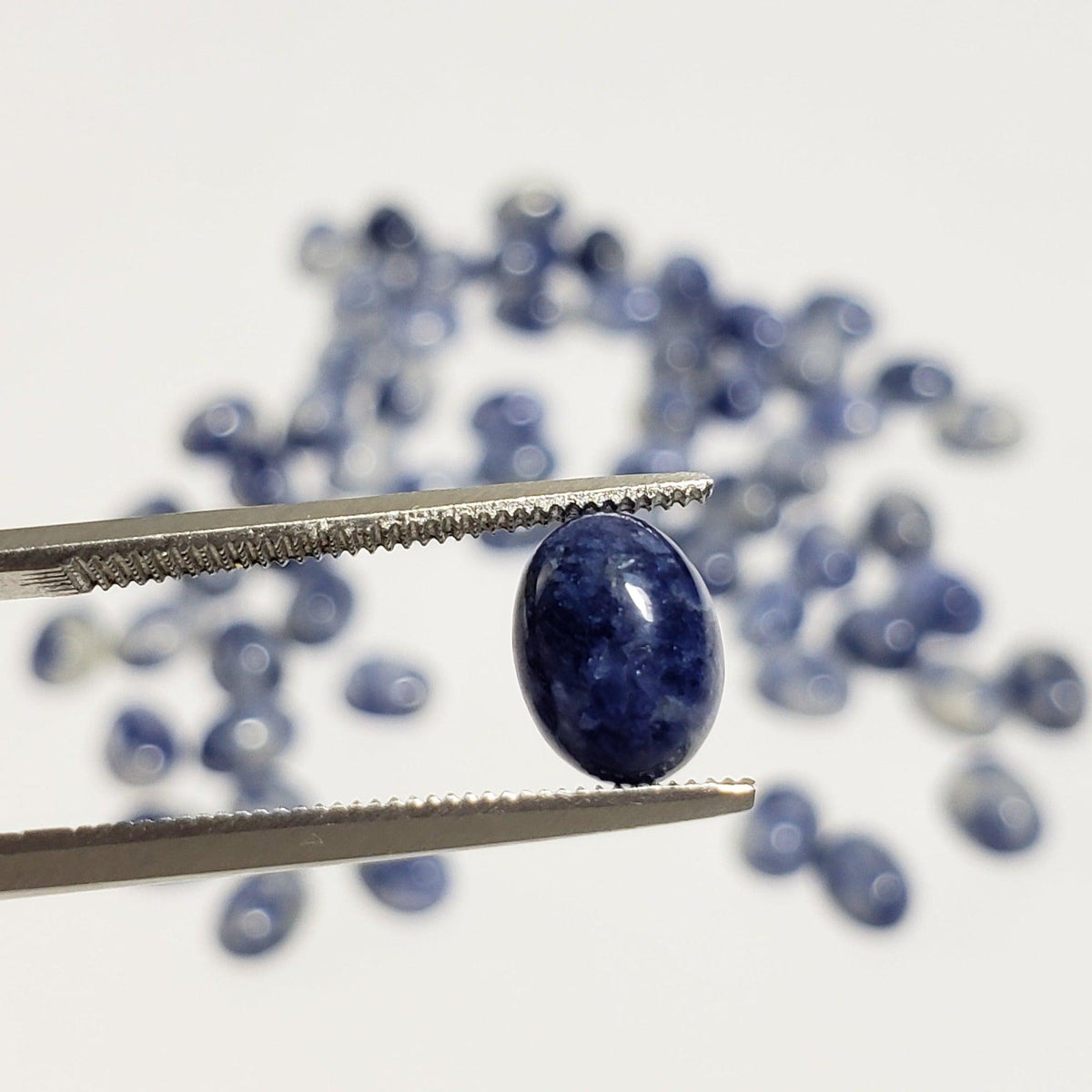  Sodalite | Oval Cabochon | Navy Blue | 8x6mm 