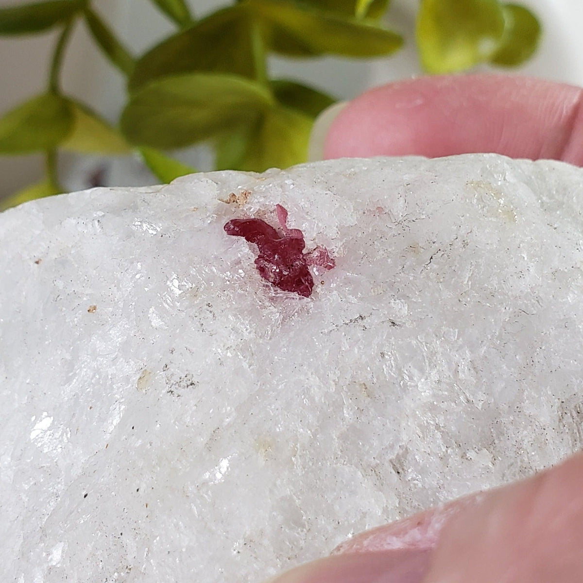 Spinel Crystal in Marble Host | Red Spinel | 172.2 gr, 860.9 ct | Mogok, Myanmar