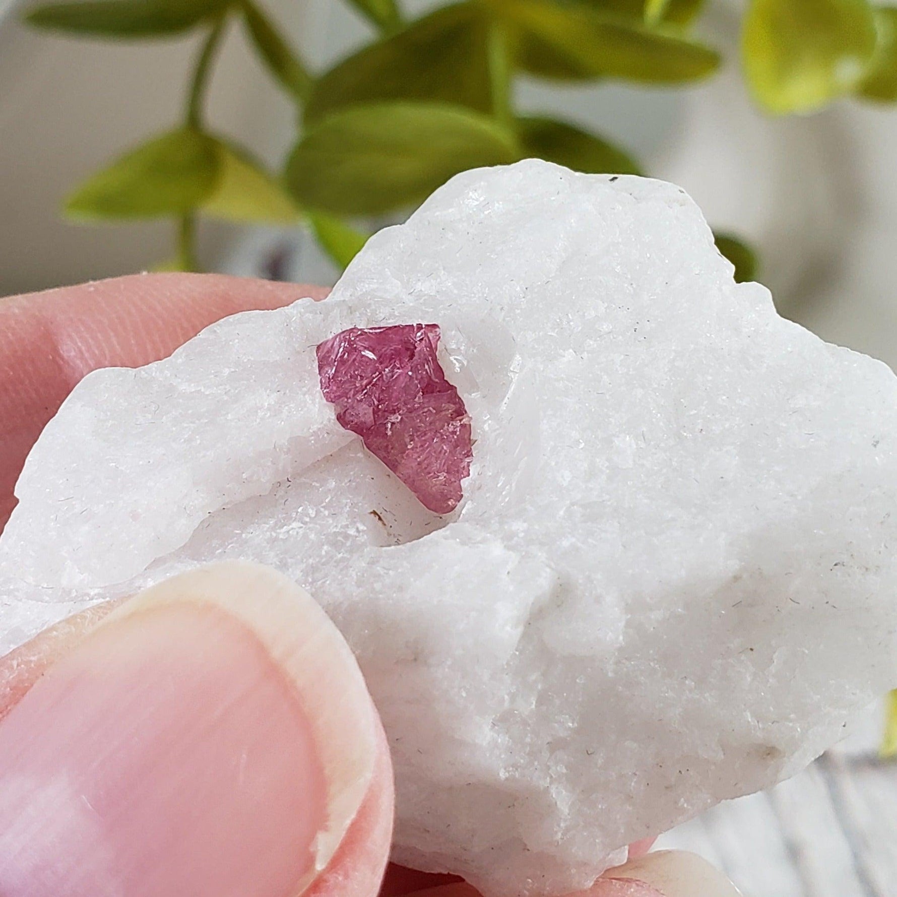  Spinel Crystal in Marble Host | Red Spinel | 36 gr, 180.2 ct | Mogok, Myanmar 