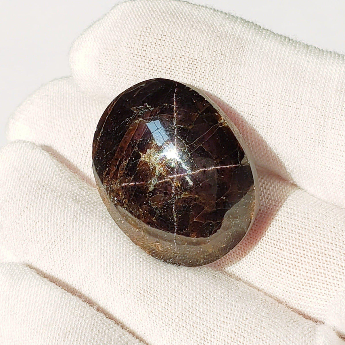  Star Garnet | Untreated Garnet | Oval Cabochon | Blood Red | 31x25mm 137.15ct | Africa 