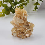  Star Mica Metamorphic Rock with Quartz | 28.2g | Muscovite | Brazil 