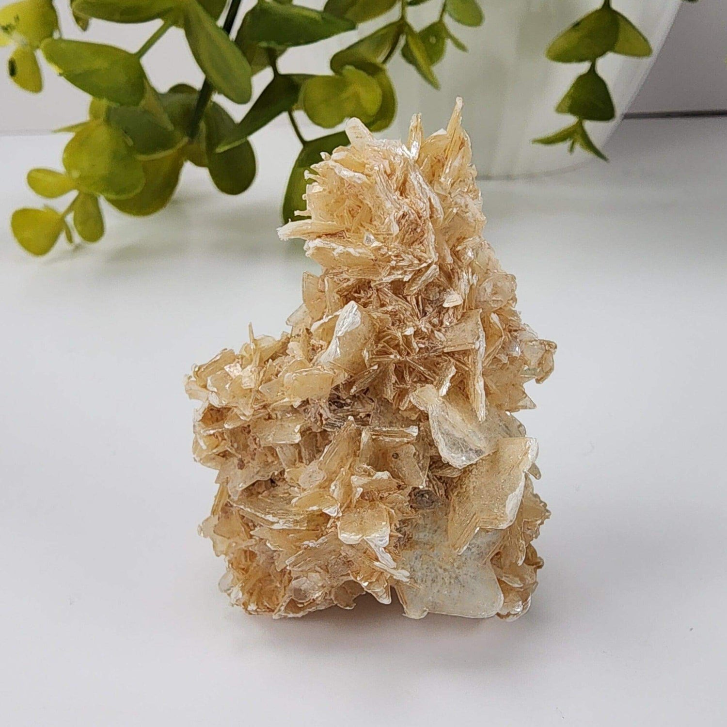  Star Mica Metamorphic Rock with Quartz | 28.2g | Muscovite | Brazil 