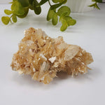  Star Mica Metamorphic Rock with Quartz | 28.2g | Muscovite | Brazil 