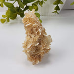  Star Mica Metamorphic Rock with Quartz | 28.2g | Muscovite | Brazil 