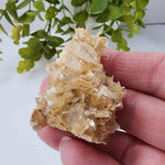  Star Mica Metamorphic Rock with Quartz | 28.2g | Muscovite | Brazil 