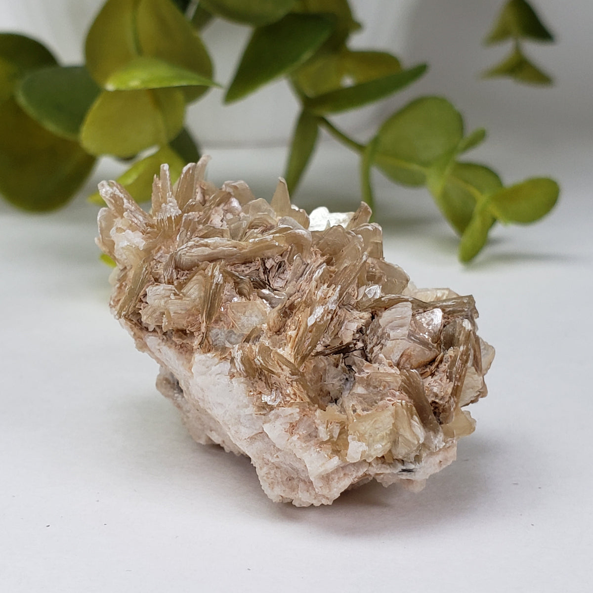  Star Mica Metamorphic Rock with Quartz | 37.4 grams | Muscovite | Brazil 