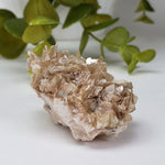  Star Mica Metamorphic Rock with Quartz | 37.4 grams | Muscovite | Brazil 