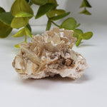  Star Mica Metamorphic Rock with Quartz | 37.4 grams | Muscovite | Brazil 