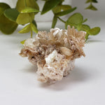  Star Mica Metamorphic Rock with Quartz | 37.4 grams | Muscovite | Brazil 