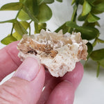  Star Mica Metamorphic Rock with Quartz | 37.4 grams | Muscovite | Brazil 