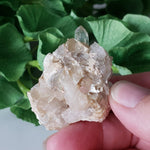  Star Mica Metamorphic Rock with Quartz | 38.1g | Muscovite | Brazil 