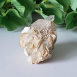  Star Mica Metamorphic Rock with Quartz | 38.1g | Muscovite | Brazil 