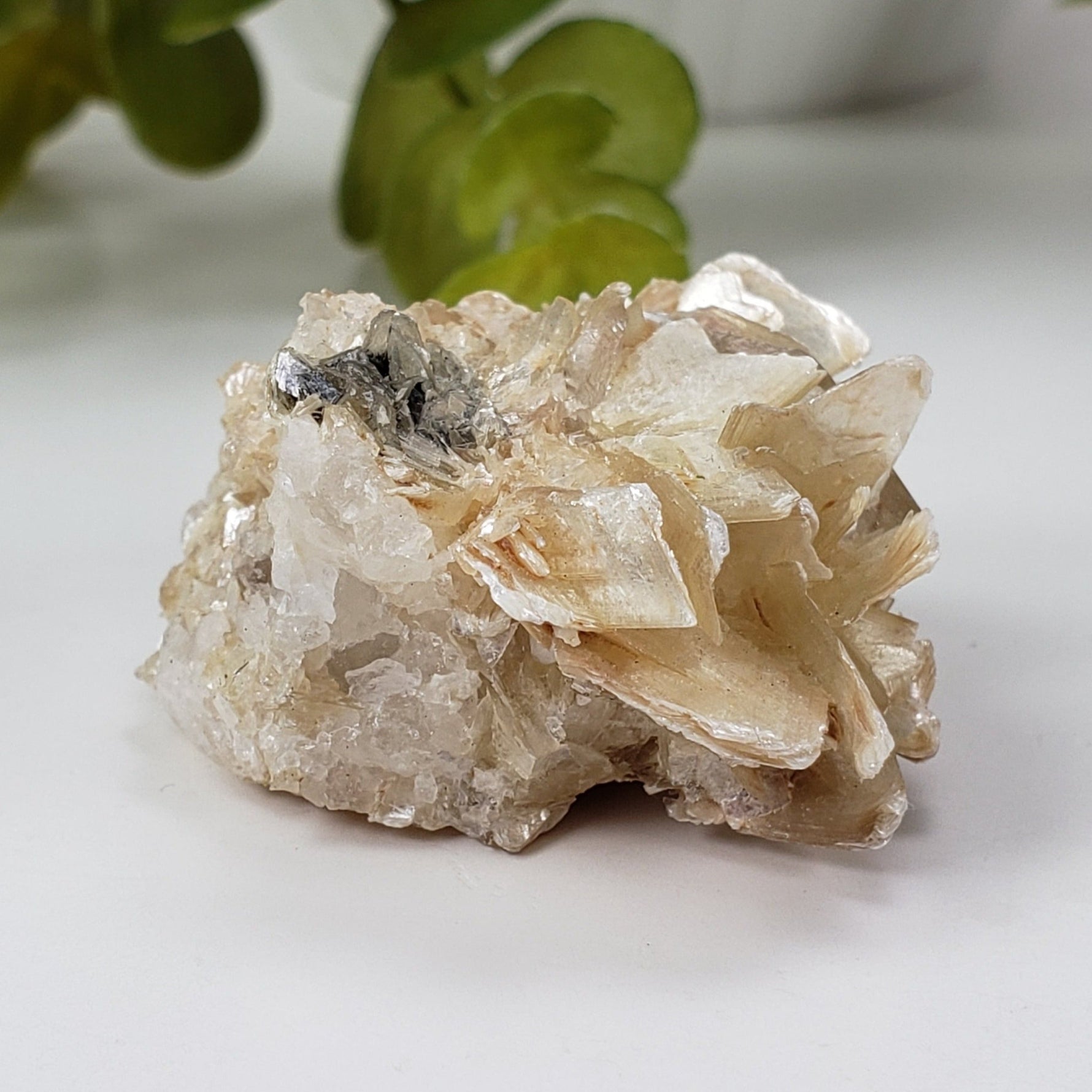  Star Mica Metamorphic Rock with Quartz | 44.7g | Muscovite | Brazil 