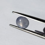  Star Sapphire | Oval Cabochon | Blue | 7.2x6.2mm 2.1ct | Myanmar 