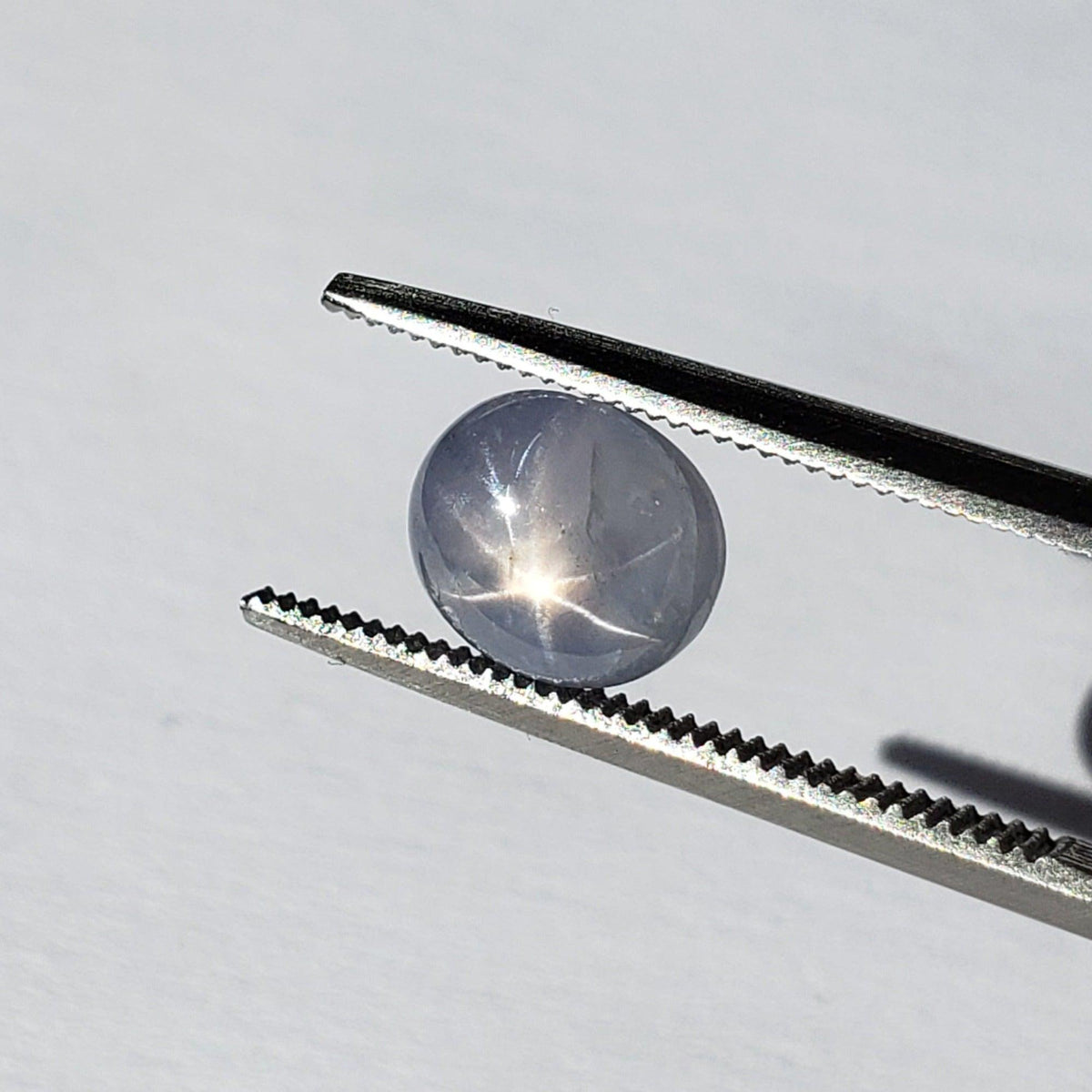  Star Sapphire | Oval Cabochon | Blue | 7.2x6.2mm 2.1ct | Myanmar 