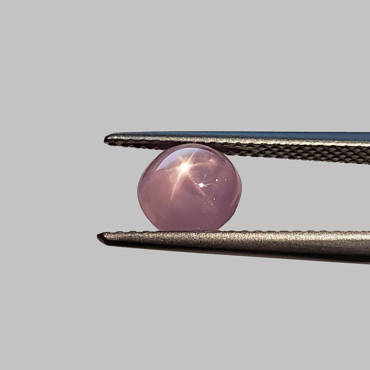  Star Sapphire | Round Cabochon | Pink | 7mm 