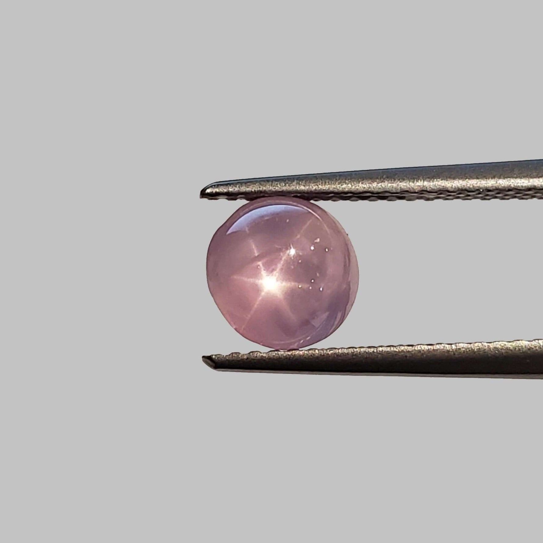  Star Sapphire | Round Cabochon | Pink | 7mm 