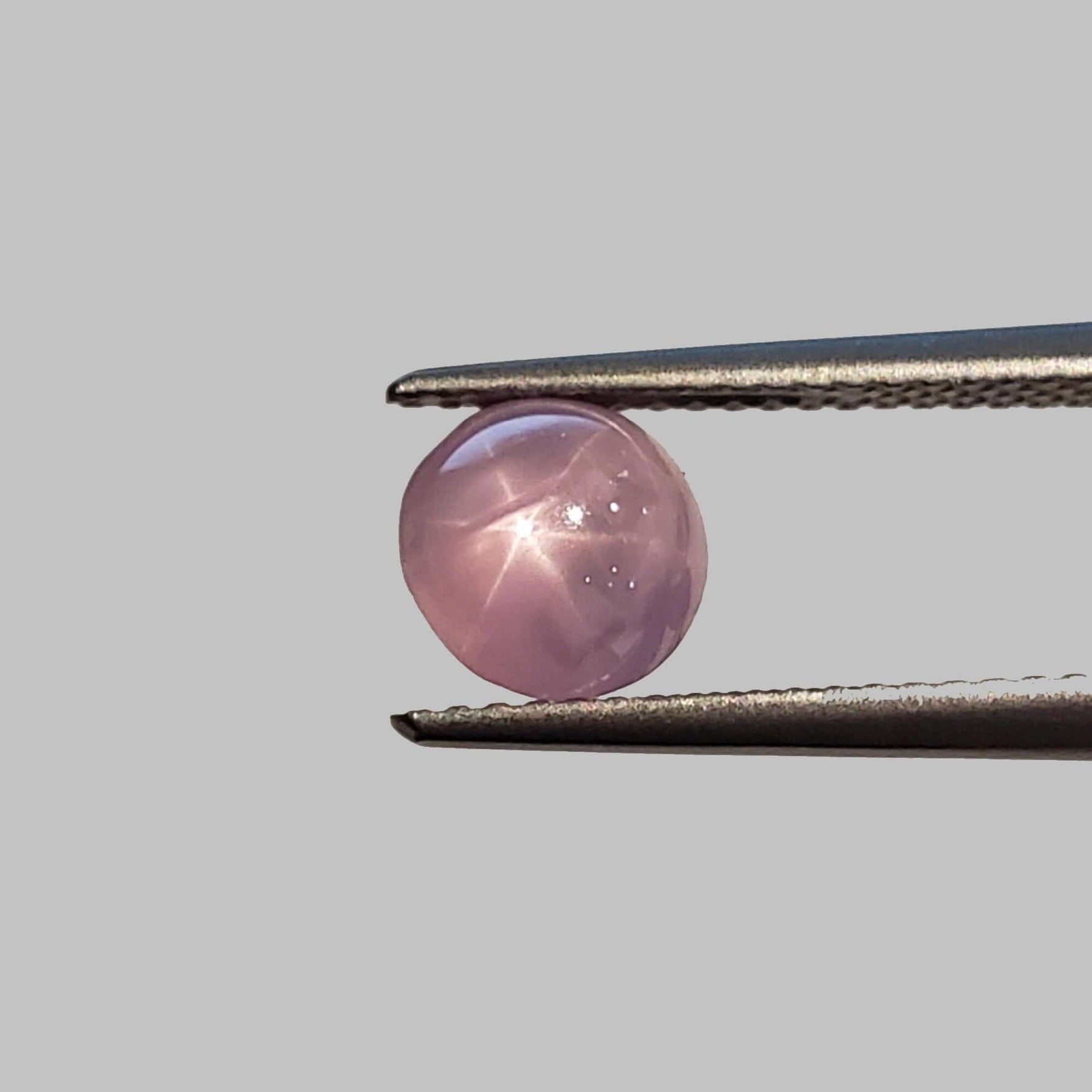  Star Sapphire | Round Cabochon | Pink | 7mm 