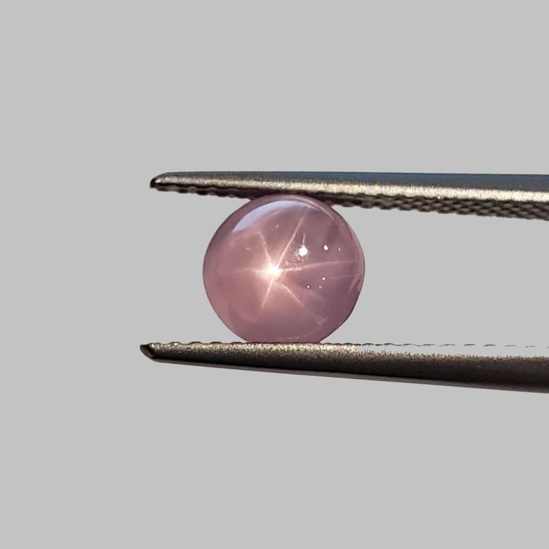  Star Sapphire | Round Cabochon | Pink | 7mm 