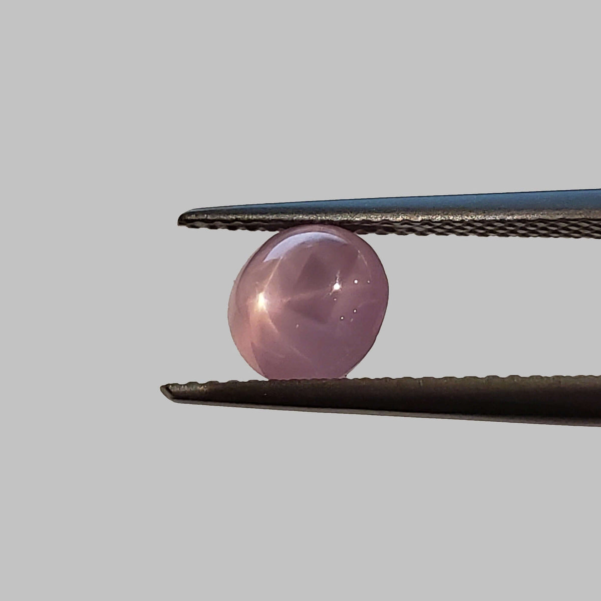  Star Sapphire | Round Cabochon | Pink | 7mm 