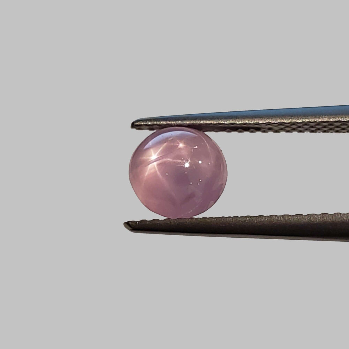  Star Sapphire | Round Cabochon | Pink | 7mm 